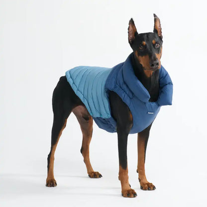PuffShield Winter Jacket - Blue