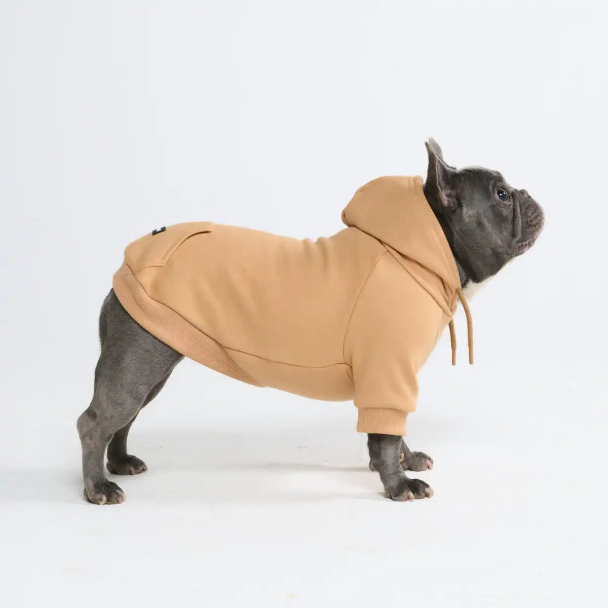Essential Dog Hoodies