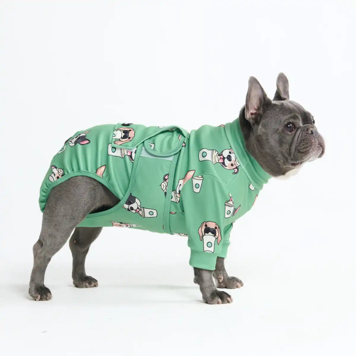 Dog Surgical Suit - Pup Cup