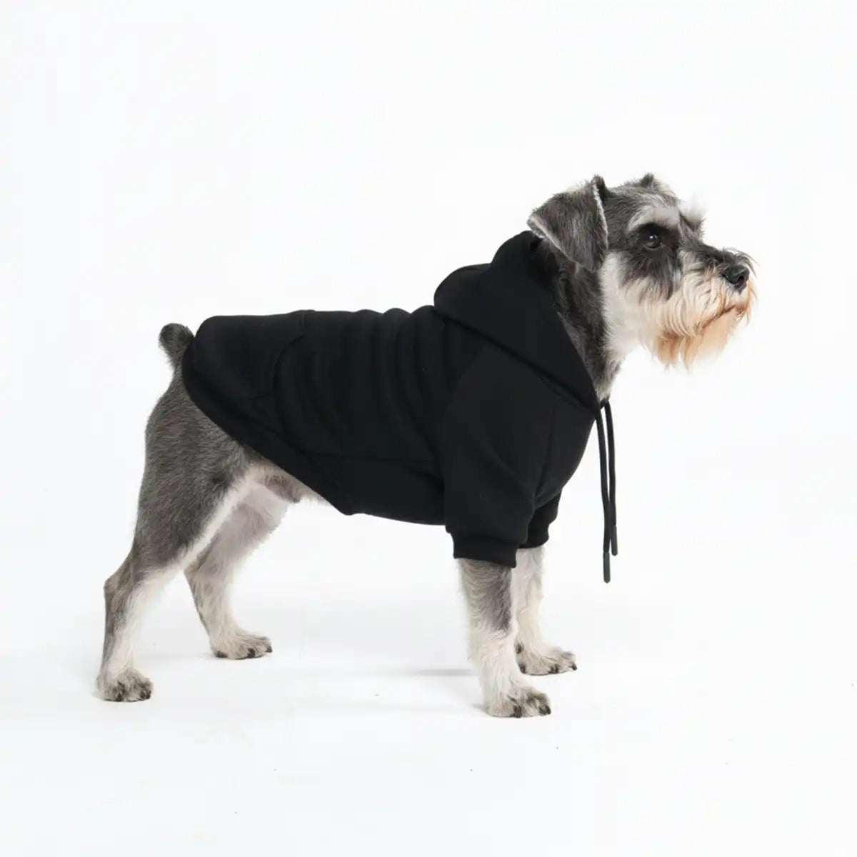 Essential Dog Hoodies