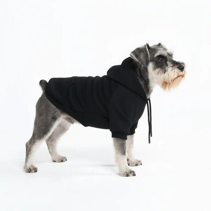 Essential Dog Hoodies