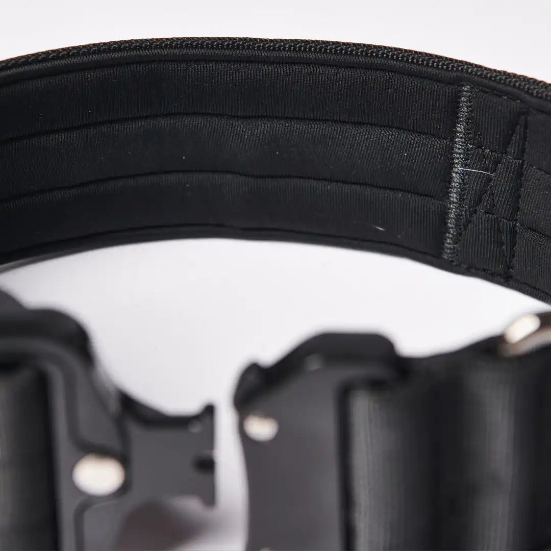 Comfort Control Dog Collars