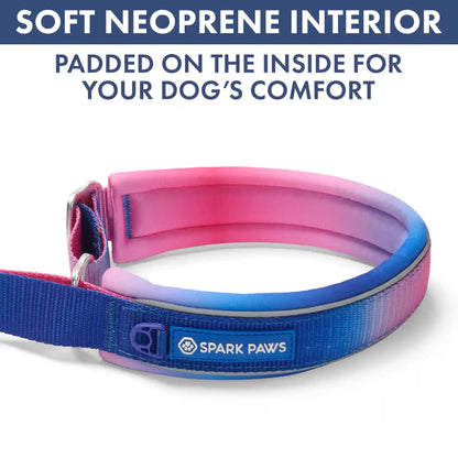 Martingale Collar and Multipurpose Leash Sets