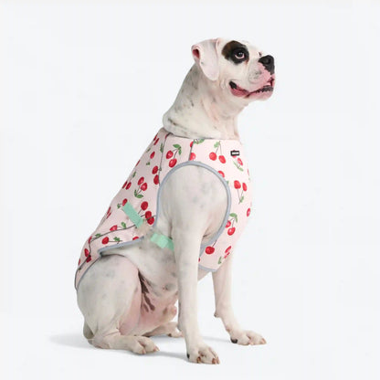Dog Cooling Vest - Cherries