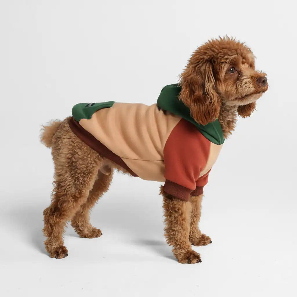 Color Block Dog Hoodies