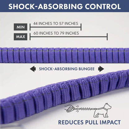 Comfort Control No-Pull Dog Harness and Multipurpose Leash Sets