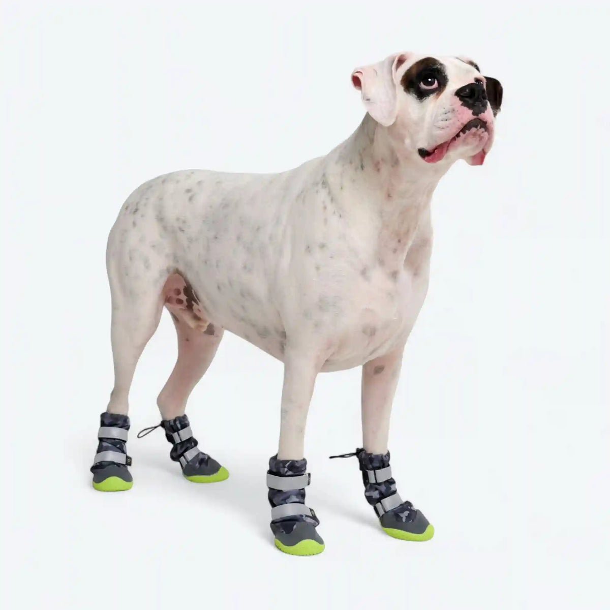 Dog Rainboots, Waterproof Dog Shoes