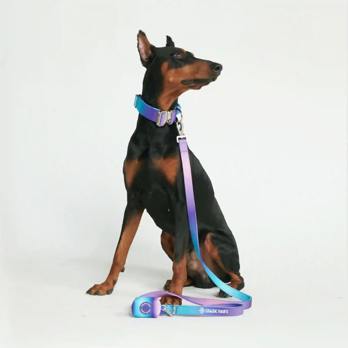 Leash and Poop Bag Holder Set