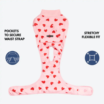Dog Surgical Suit  2-pack