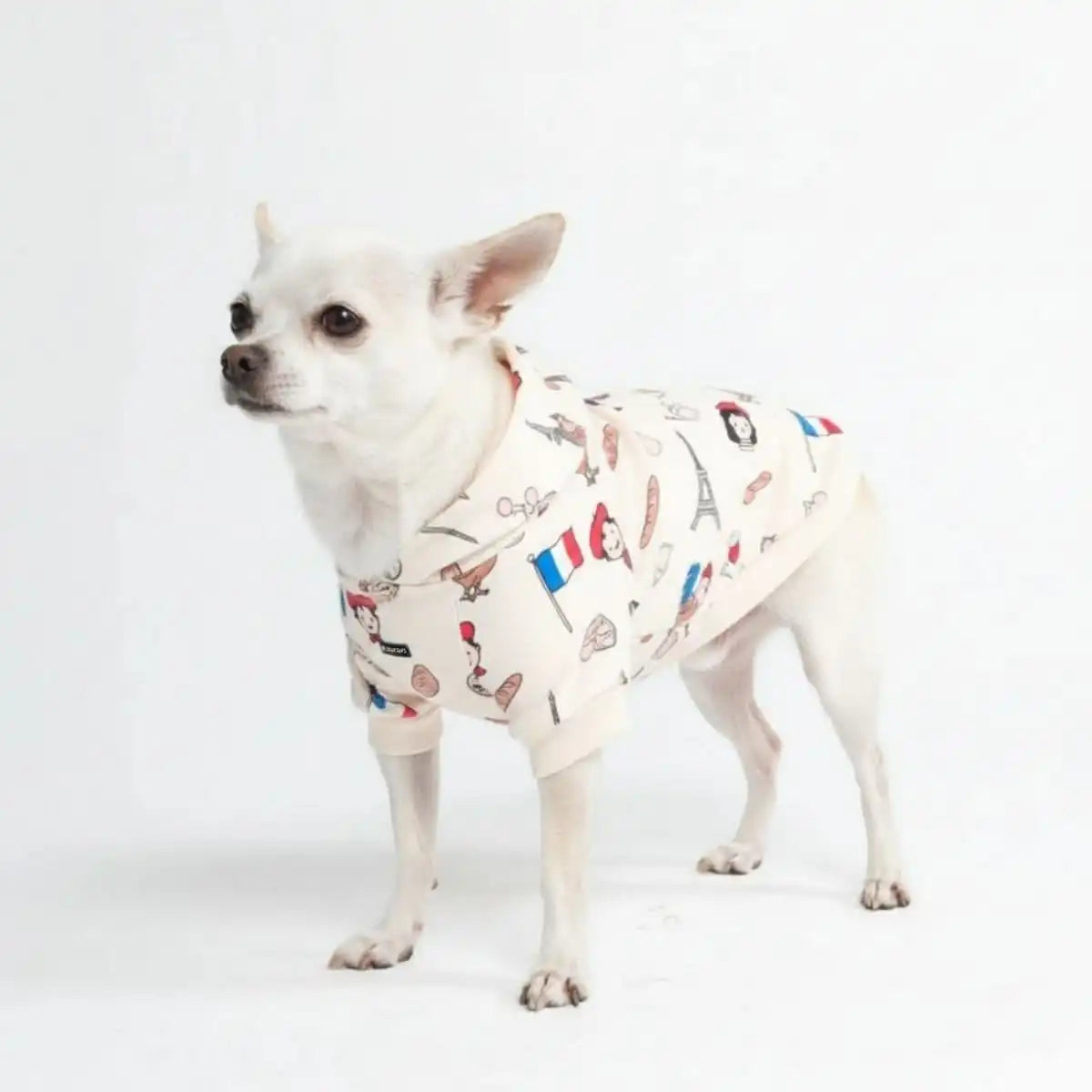 Around the World Dog Hoodies
