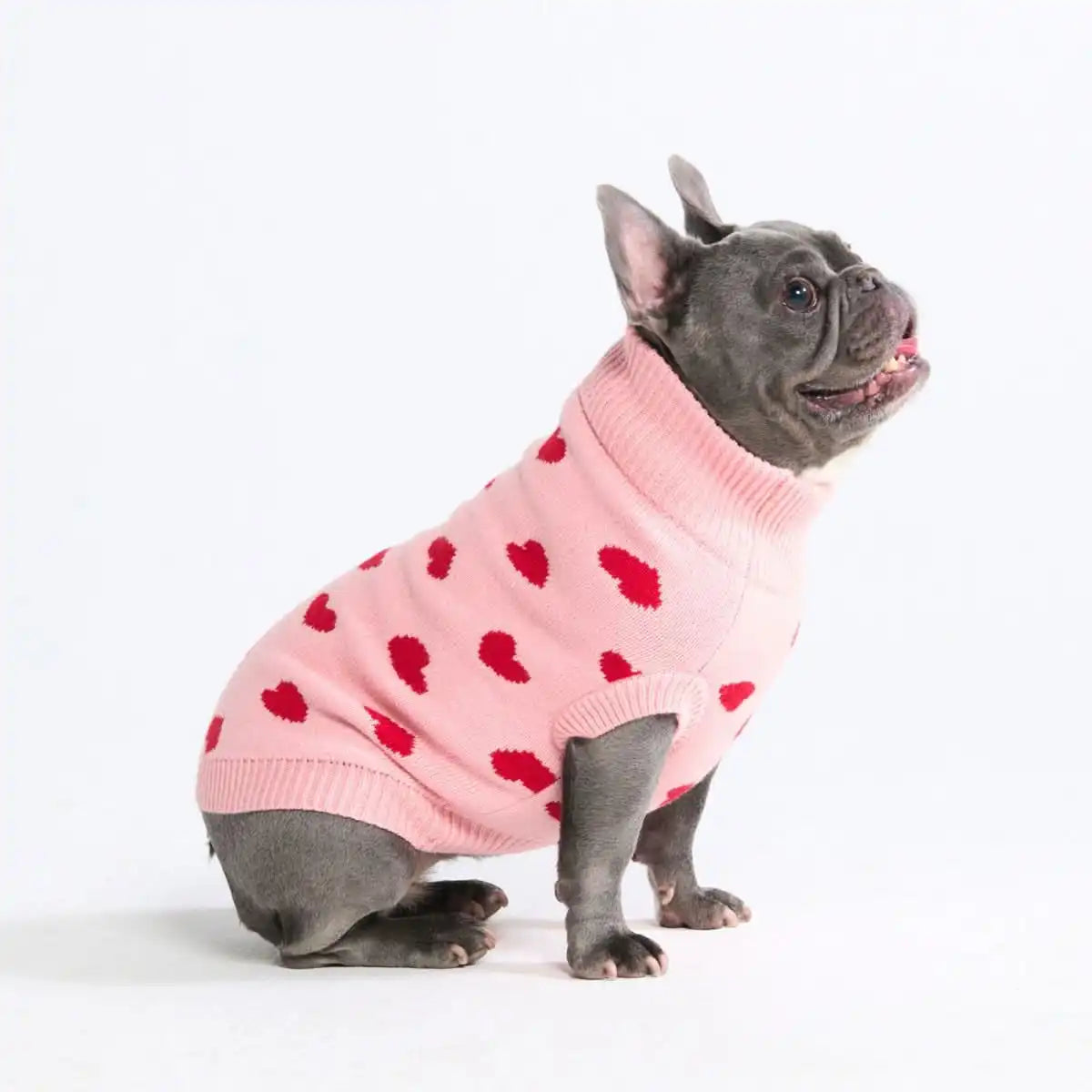 Knit Dog Sweater Prints