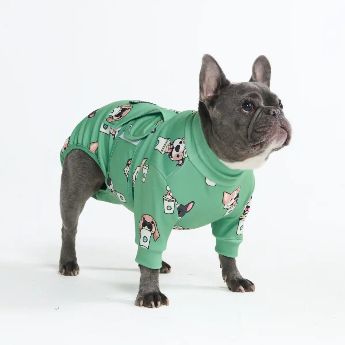 Dog Surgical Suit