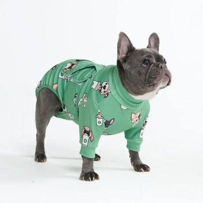 Dog Surgical Suit