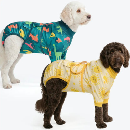 Dog Surgical Suit  (2-pack) - Dinosaurs and Sunshine