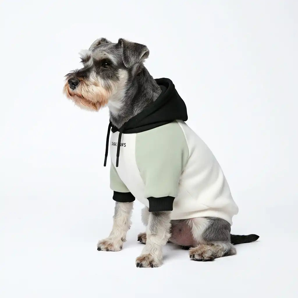 Color Block Dog Hoodies