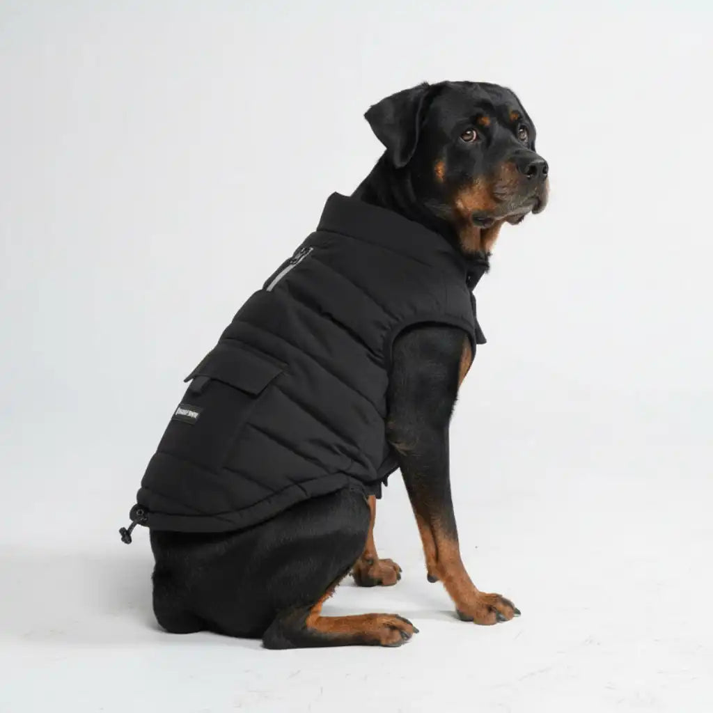 WarmShield Water-Resistant Jacket - Black