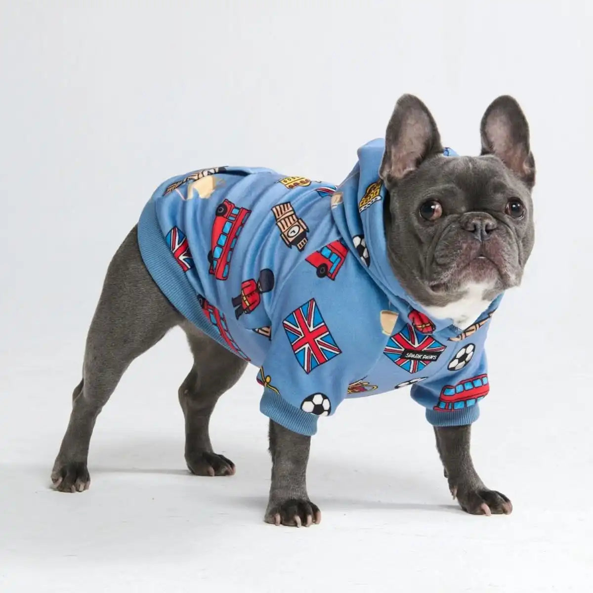Around the World Dog Hoodies