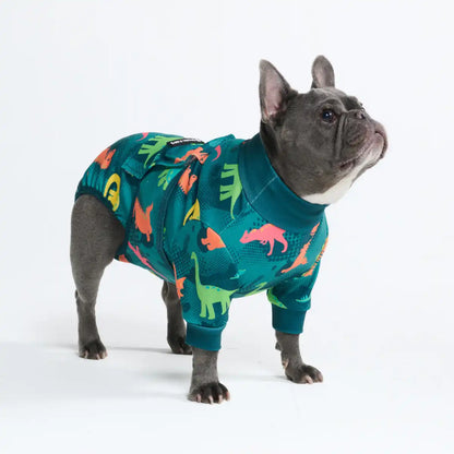 Dog Surgical Suit  2-pack