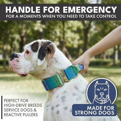 Comfort Control Collar and Multipurpose Leash Sets