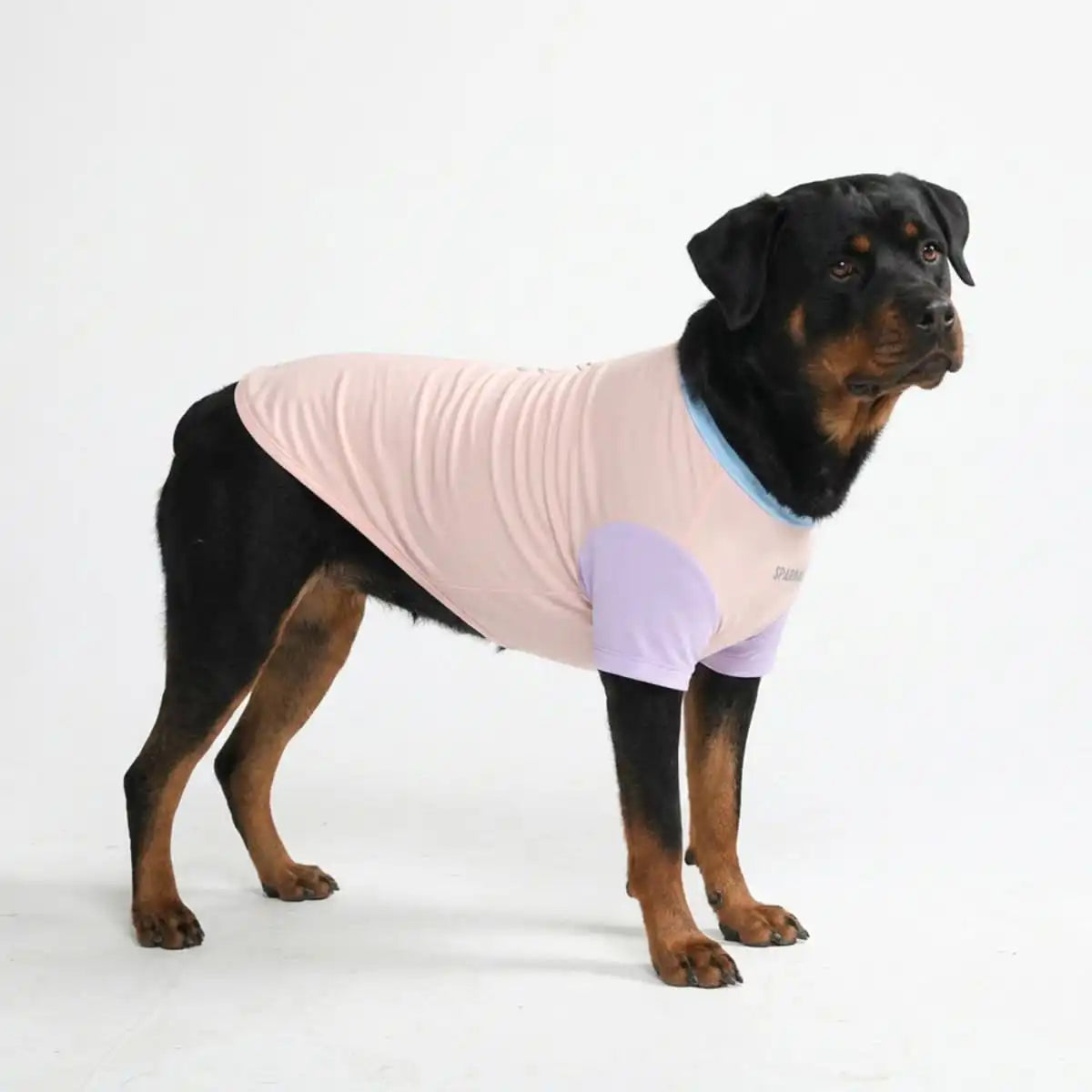 Sunblock Dog T-Shirt - Color Block