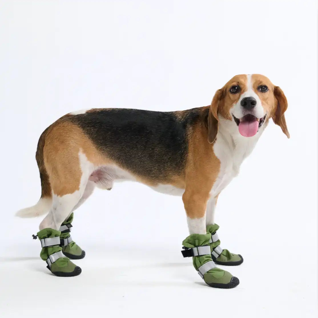 Dog Rainboots, Waterproof Dog Shoes