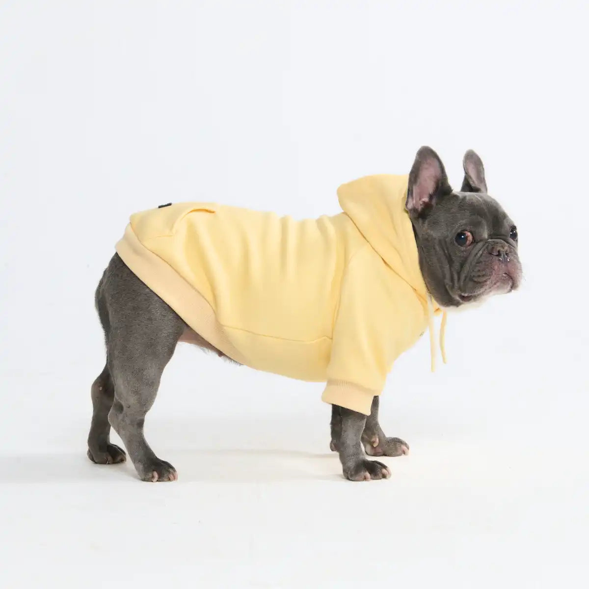 Essential Dog Hoodies