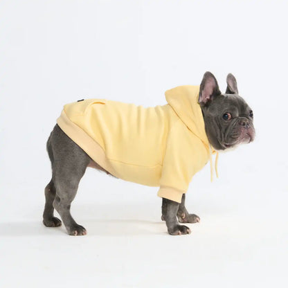 Essential Dog Hoodies