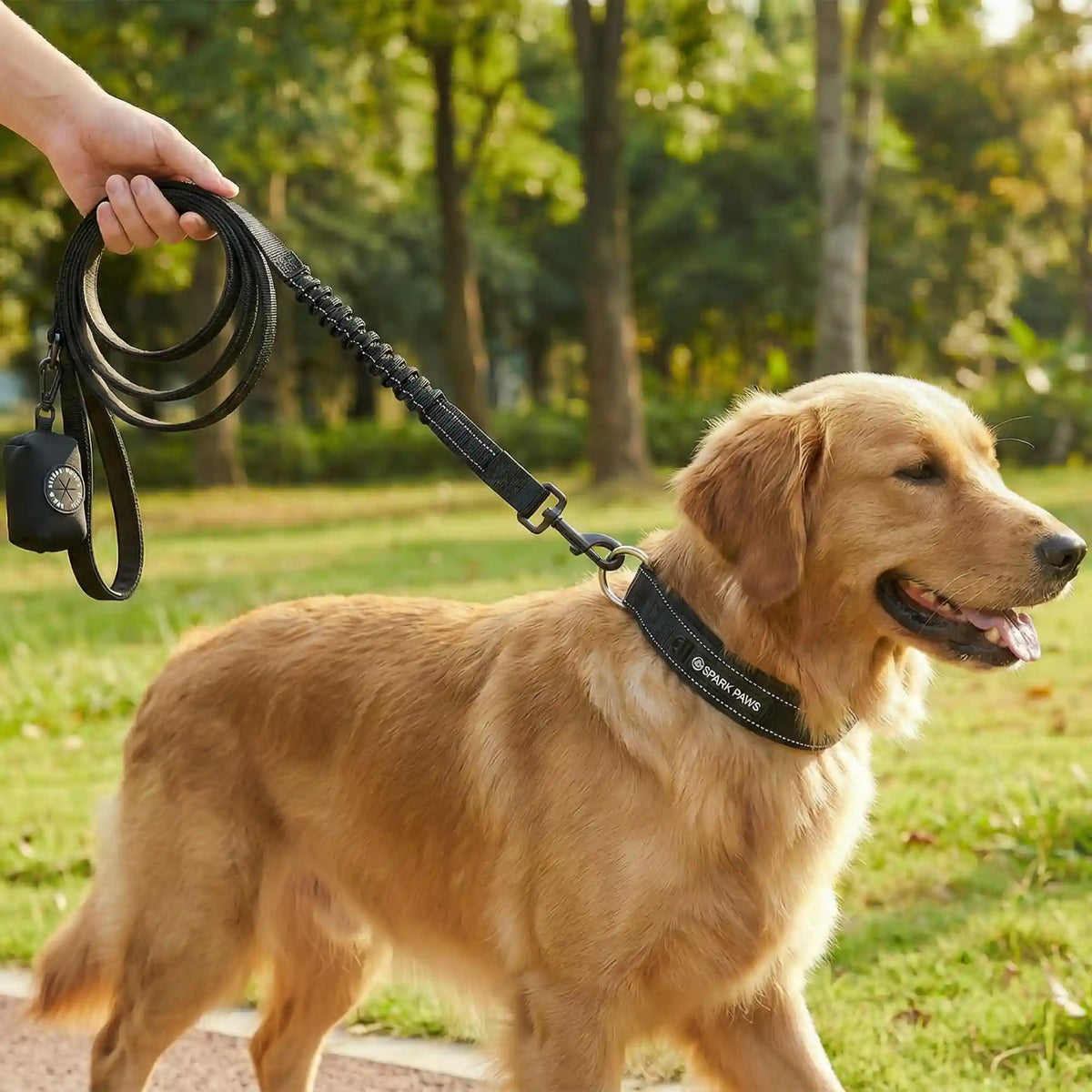 Martingale Collar and Multipurpose Leash Set - Black