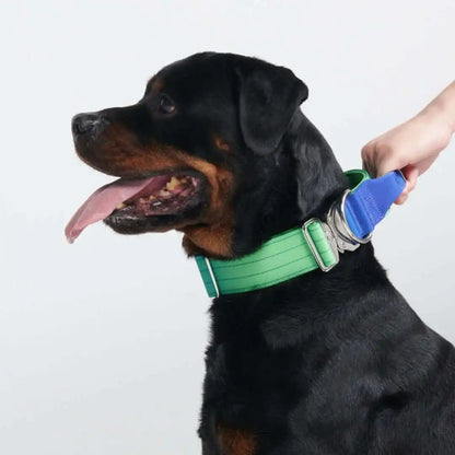 Comfort Control Dog Collars