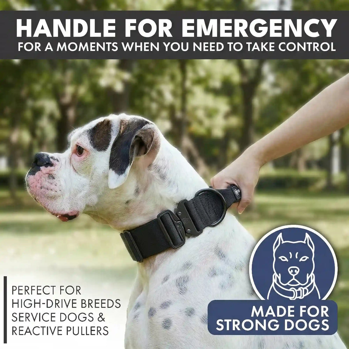 Comfort Control Collar - Black