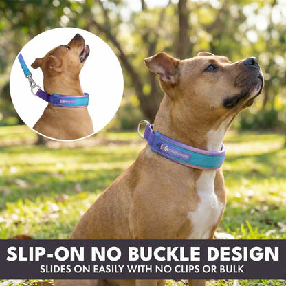 Martingale Collar Sets