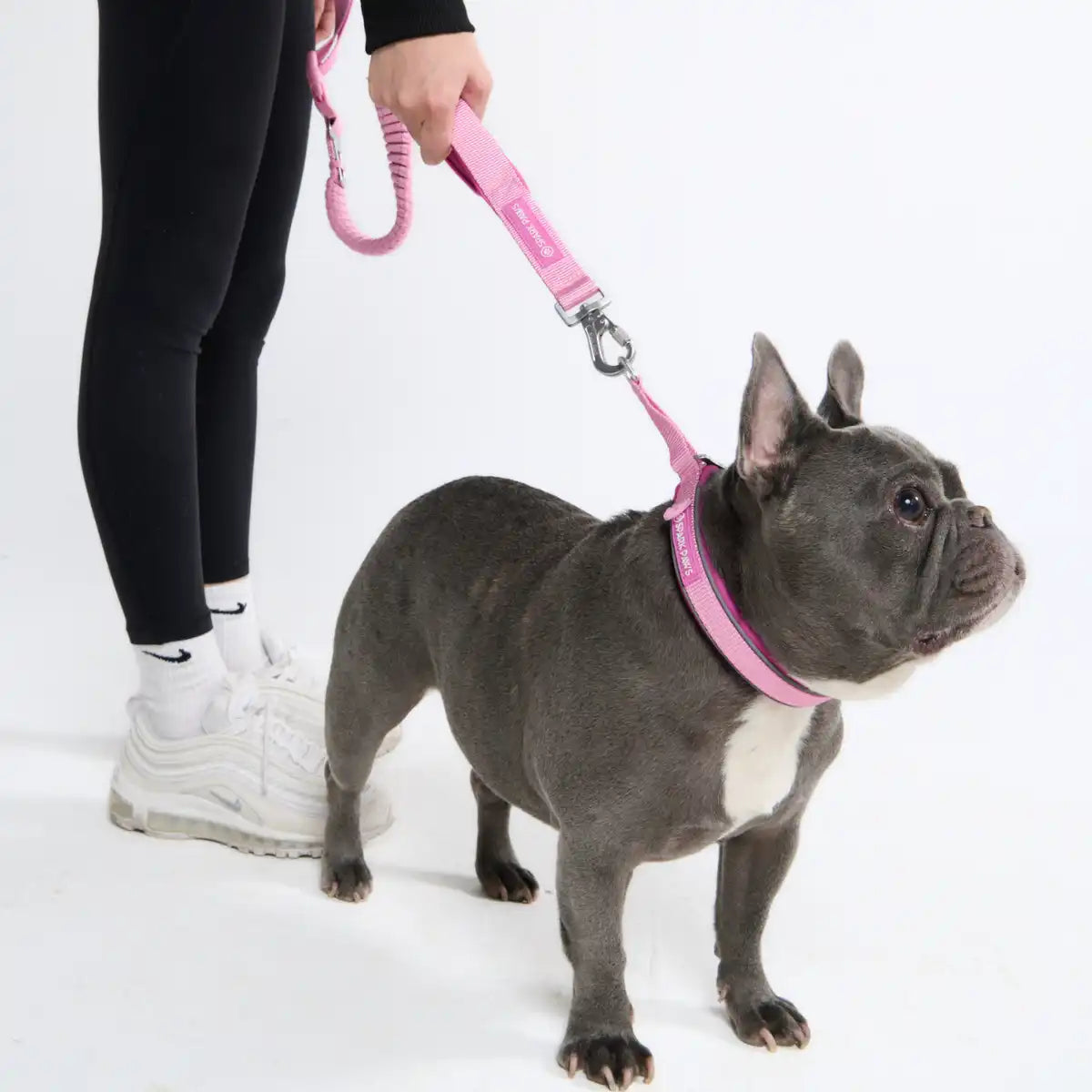 Cushioned Martingale Collars