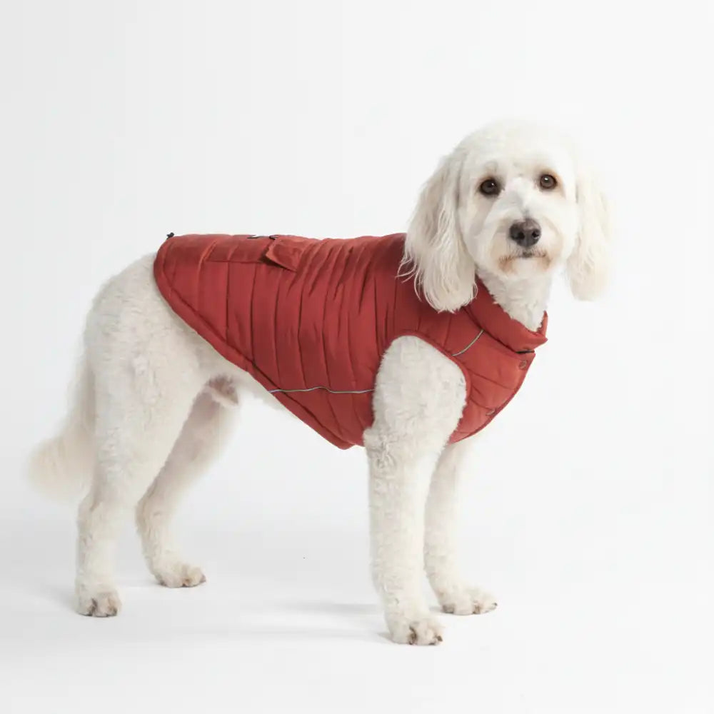 WarmShield Water-Resistant Jackets