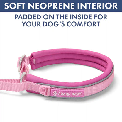 Martingale Collar Sets