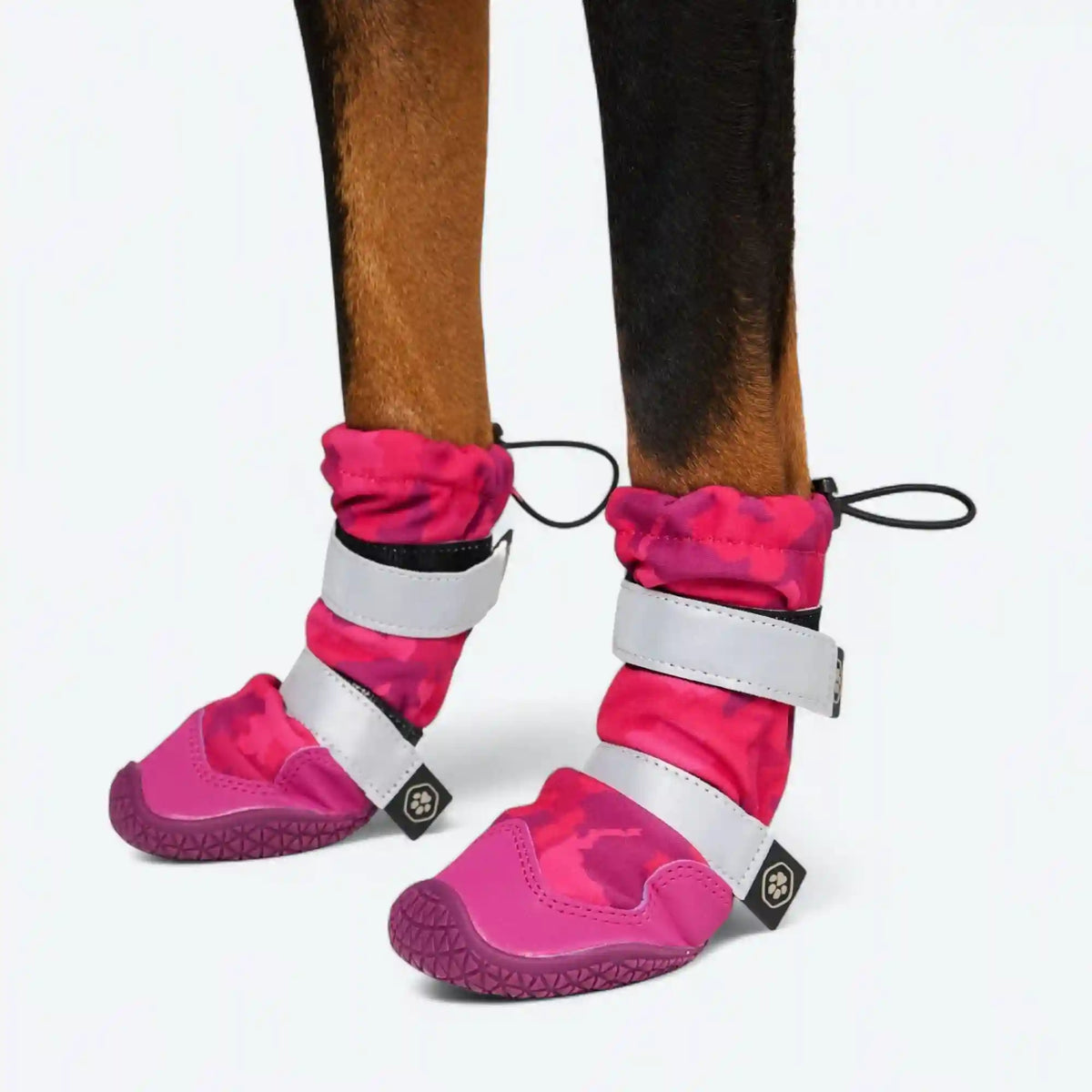 Dog Rainboots, Waterproof Dog Shoes