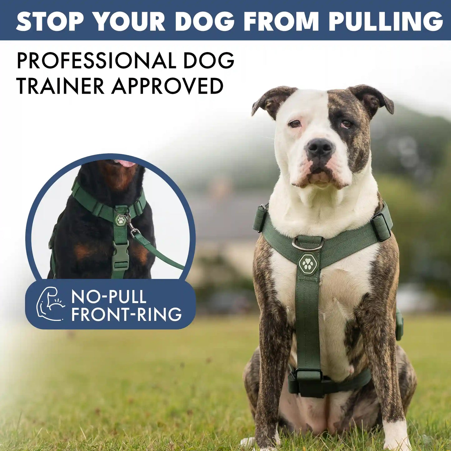 Comfort Control No-Pull Dog Harnesses