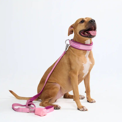 Cushioned Martingale Collars