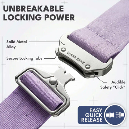 Comfort Control Collar and Multipurpose Leash Set - Lilac