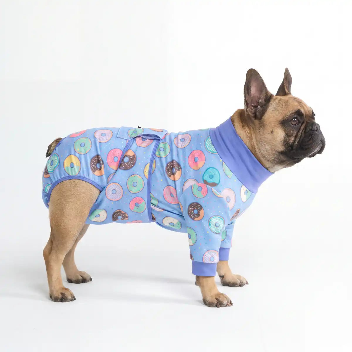 Dog Surgical Suit
