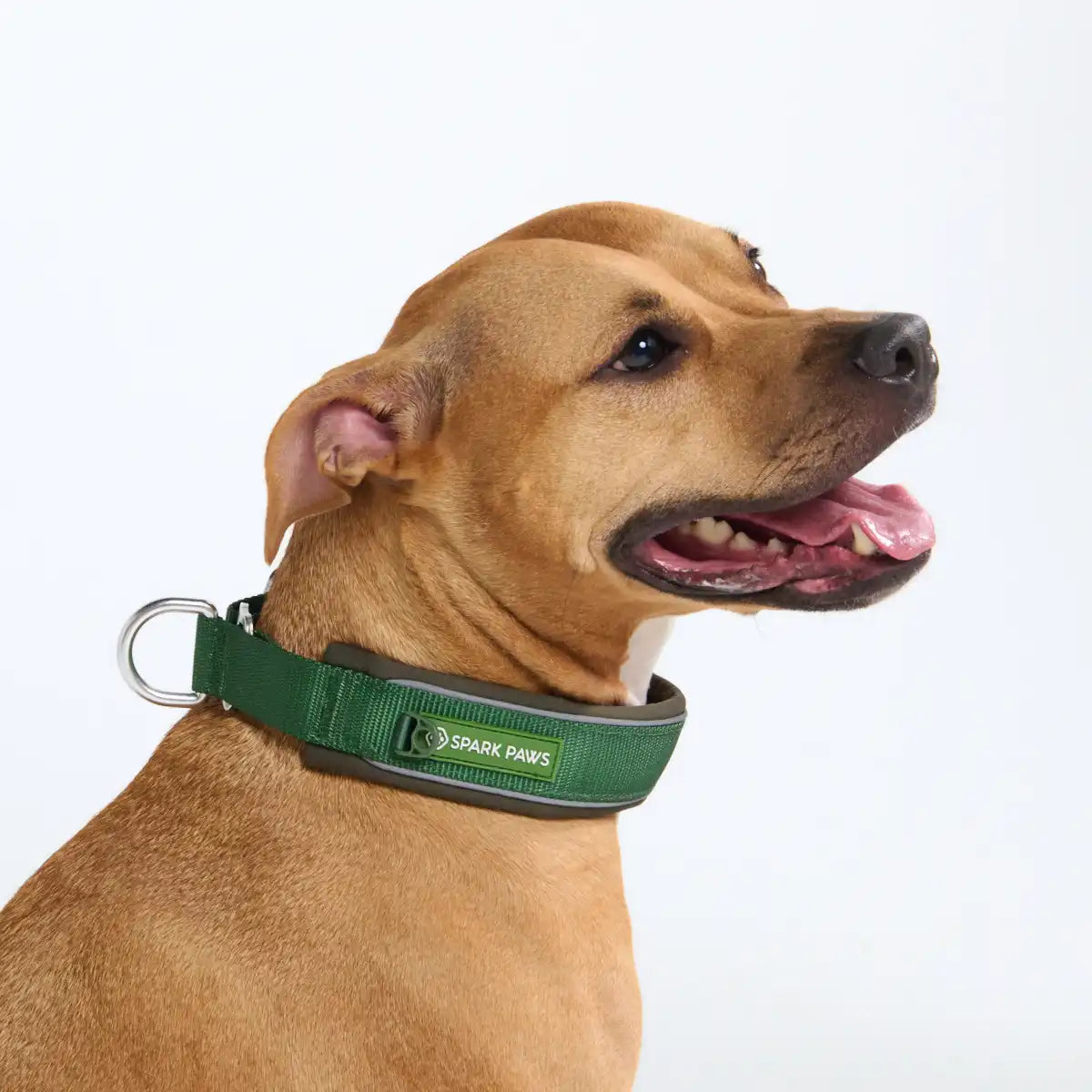 Cushioned Martingale Collar - Army Green
