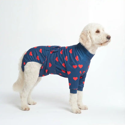 Dog Surgical Suit