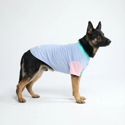 Sunblock Dog T-Shirt - Color Block