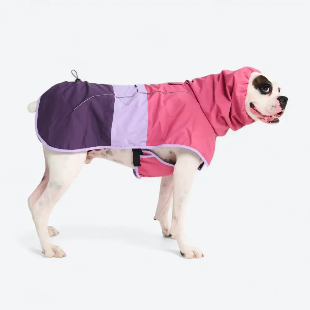 Breatheshield™ Dog Raincoats