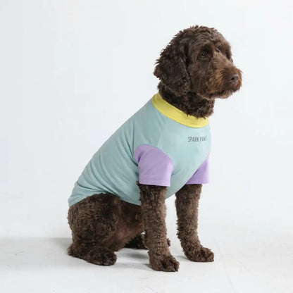 Sunblock Dog T-Shirt - Color Block