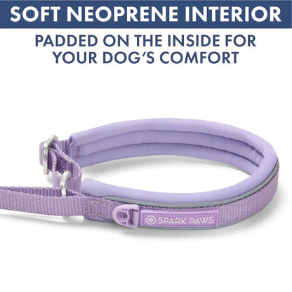 Martingale Collar Set - Lilac