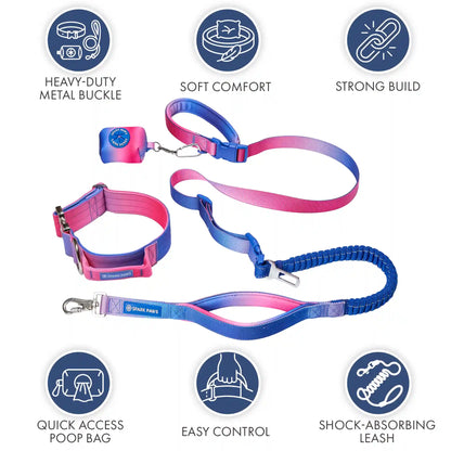 Comfort Control Collar and Multipurpose Leash Sets
