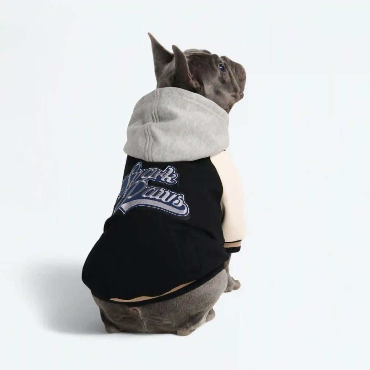 Dog Varsity Jacket - Black