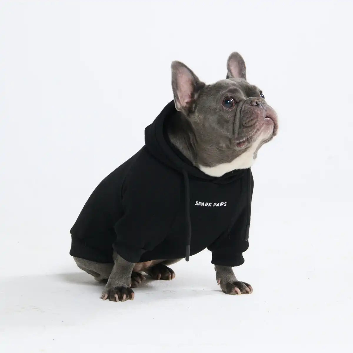 Essential Dog Hoodies
