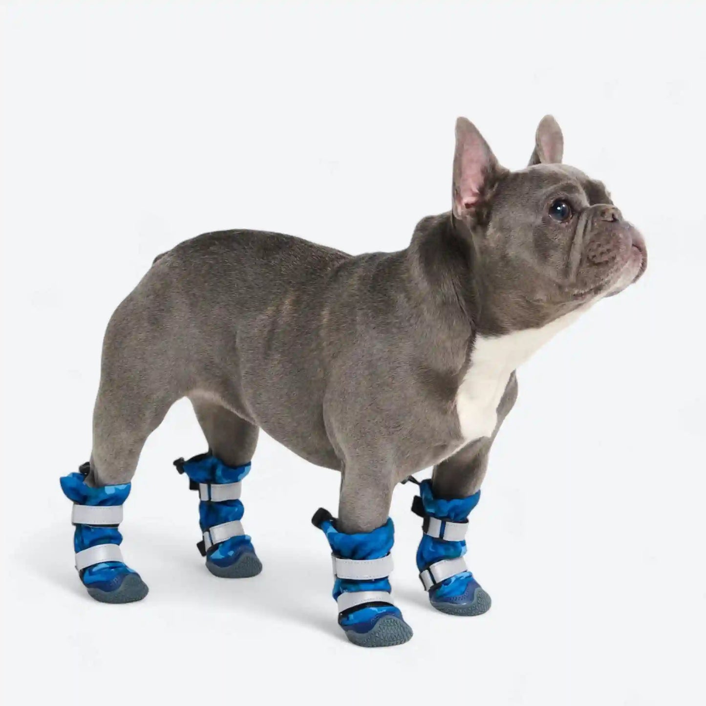 Dog Rainboots, Waterproof Dog Shoes