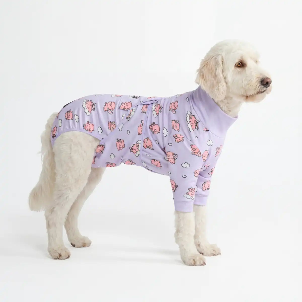 Dog Surgical Suit - When Pigs Fly